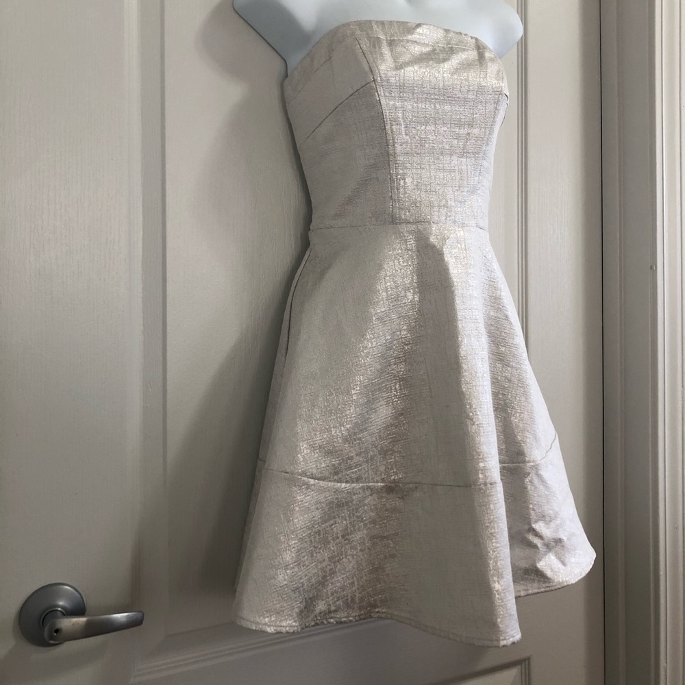 Express Dress - Picture 5 of 8